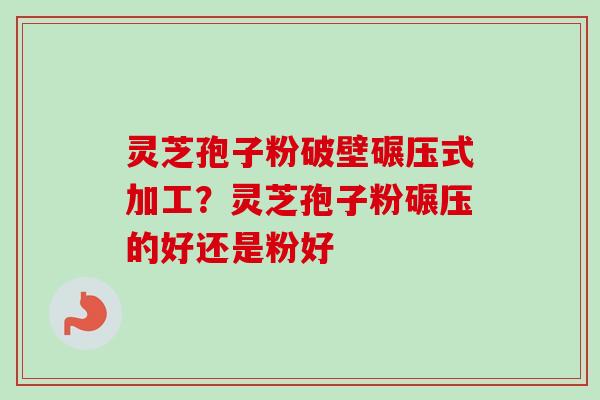 灵芝孢子粉破壁碾压式加工？灵芝孢子粉碾压的好还是粉好
