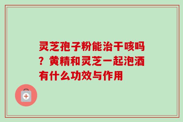 灵芝孢子粉能治干咳吗？黄精和灵芝一起泡酒有什么功效与作用