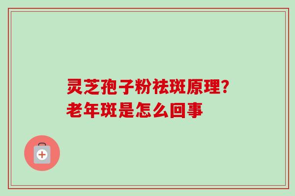灵芝孢子粉祛斑原理？老年斑是怎么回事