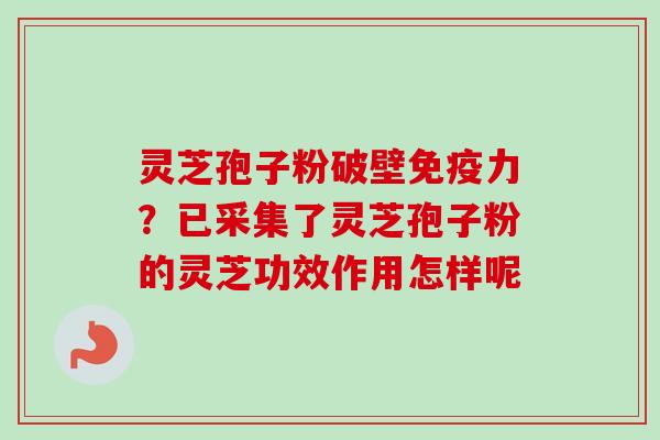 灵芝孢子粉破壁免疫力？已采集了灵芝孢子粉的灵芝功效作用怎样呢