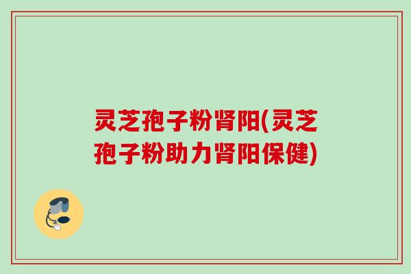 灵芝孢子粉肾阳(灵芝孢子粉助力肾阳保健)
