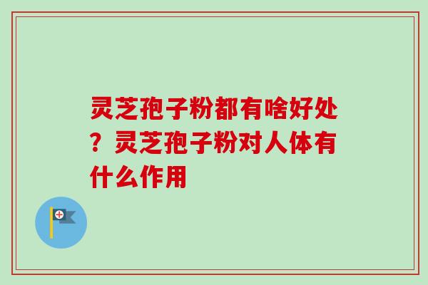 灵芝孢子粉都有啥好处？灵芝孢子粉对人体有什么作用