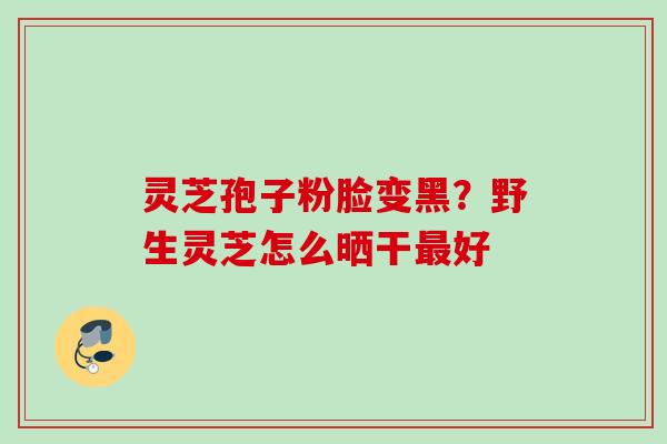 灵芝孢子粉脸变黑?野生灵芝怎么晒干好 灵芝孢子粉脸变黑?野生灵芝怎么晒干好