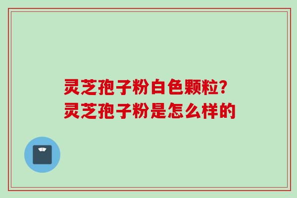 灵芝孢子粉白色颗粒？灵芝孢子粉是怎么样的