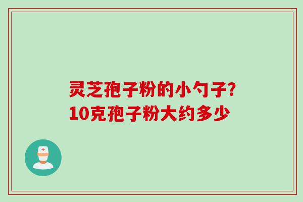 灵芝孢子粉的小勺子？10克孢子粉大约多少