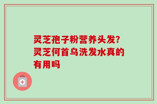 灵芝孢子粉营养头发?灵芝何首乌洗发水真的有用吗 灵芝孢子粉营养头发?灵芝何首乌洗发水真的有用吗