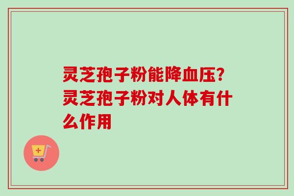 灵芝孢子粉能降血压？灵芝孢子粉对人体有什么作用