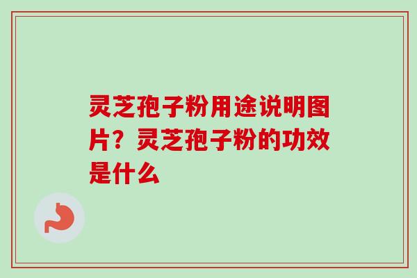 灵芝孢子粉用途说明图片?灵芝孢子粉的功效是什么 灵芝孢子粉用途说明图片?灵芝孢子粉的功效是什么