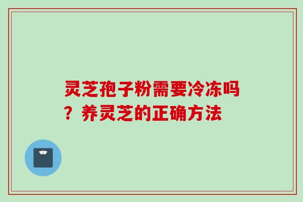 灵芝孢子粉需要冷冻吗？养灵芝的正确方法
