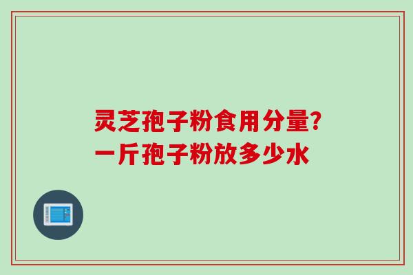 灵芝孢子粉食用分量？一斤孢子粉放多少水