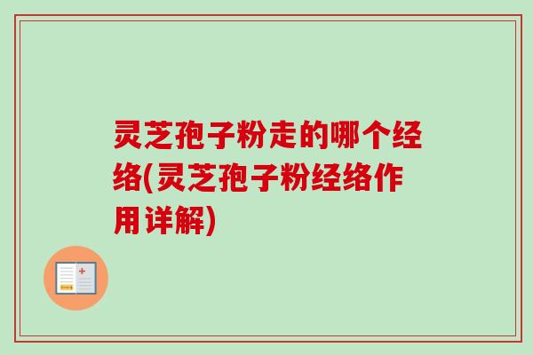 灵芝孢子粉走的哪个经络(灵芝孢子粉经络作用详解)