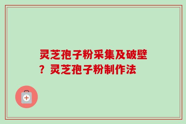 灵芝孢子粉采集及破壁？灵芝孢子粉制作法