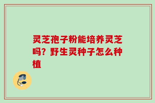 灵芝孢子粉能培养灵芝吗？野生灵种子怎么种植