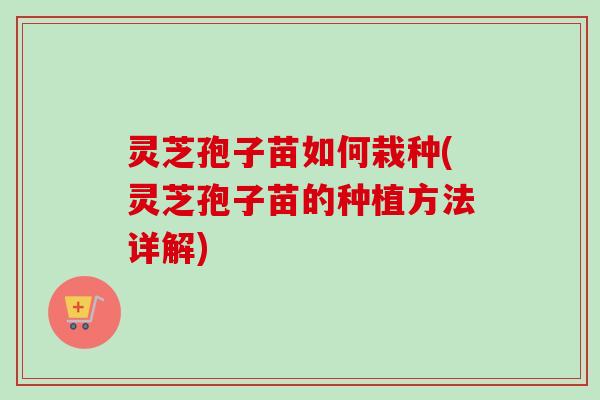灵芝孢子苗如何栽种(灵芝孢子苗的种植方法详解)