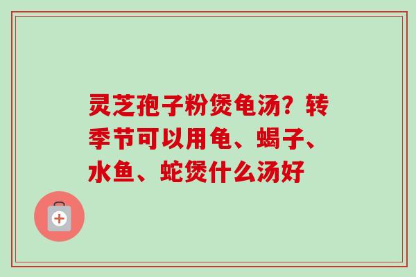 灵芝孢子粉煲龟汤？转季节可以用龟、蝎子、水鱼、蛇煲什么汤好