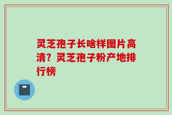 灵芝孢子长啥样图片高清？灵芝孢子粉产地排行榜
