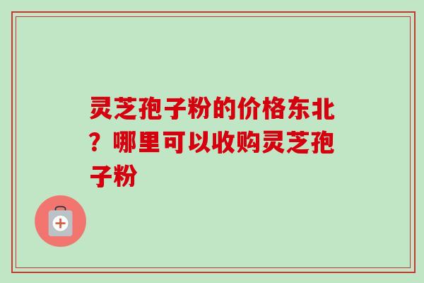 灵芝孢子粉的价格东北？哪里可以收购灵芝孢子粉