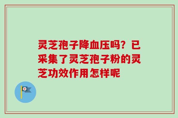 灵芝孢子降血压吗？已采集了灵芝孢子粉的灵芝功效作用怎样呢