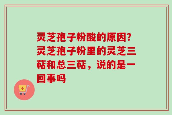 灵芝孢子粉酸的原因？灵芝孢子粉里的灵芝三萜和总三萜，说的是一回事吗