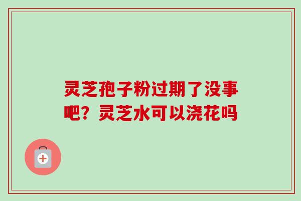 灵芝孢子粉过期了没事吧？灵芝水可以浇花吗