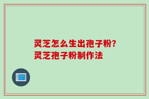 灵芝怎么生出孢子粉？灵芝孢子粉制作法