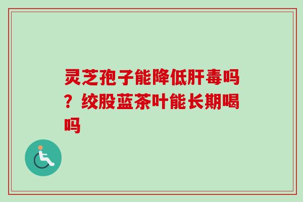灵芝孢子能降低肝毒吗？绞股蓝茶叶能长期喝吗