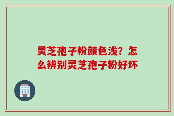 灵芝孢子粉颜色浅？怎么辨别灵芝孢子粉好坏