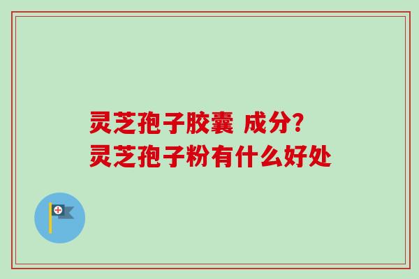 灵芝孢子胶囊 成分？灵芝孢子粉有什么好处