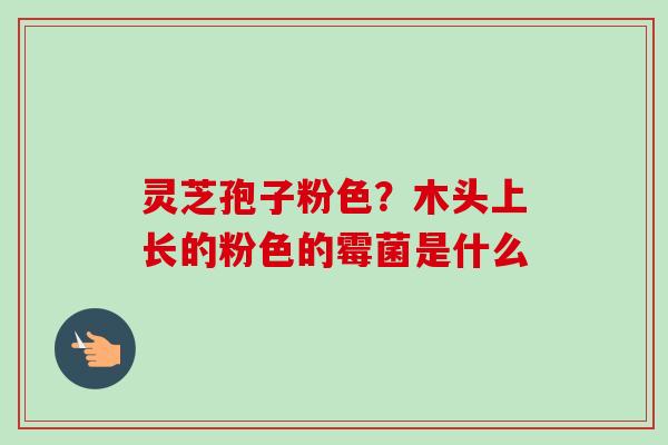 灵芝孢子粉色？木头上长的粉色的霉菌是什么