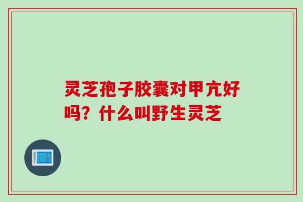 灵芝孢子胶囊对甲亢好吗？什么叫野生灵芝