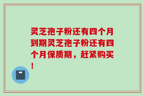 灵芝孢子粉还有四个月到期灵芝孢子粉还有四个月保质期,赶紧购买! 灵芝孢子粉还有四个月到期灵芝孢子粉还有四个月保质期,赶紧购买!
