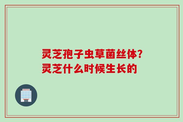 灵芝孢子虫草菌丝体？灵芝什么时候生长的
