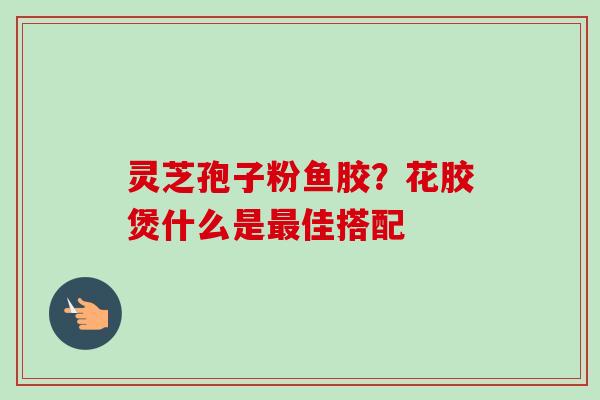 灵芝孢子粉鱼胶？花胶煲什么是最佳搭配