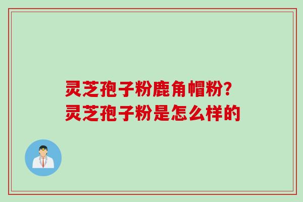 灵芝孢子粉鹿角帽粉？灵芝孢子粉是怎么样的
