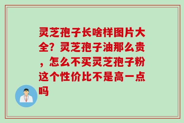 灵芝孢子长啥样图片大全？灵芝孢子油那么贵，怎么不买灵芝孢子粉这个性价比不是高一点吗