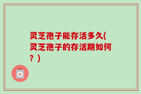 灵芝孢子能存活多久(灵芝孢子的存活期如何？)