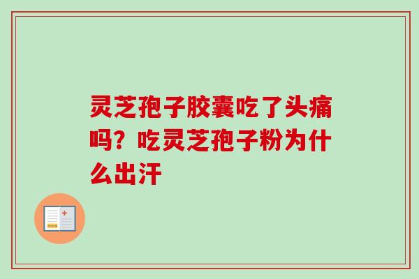 灵芝孢子胶囊吃了头痛吗？吃灵芝孢子粉为什么出汗