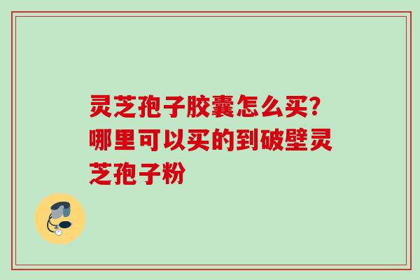 灵芝孢子胶囊怎么买？哪里可以买的到破壁灵芝孢子粉