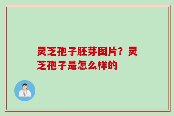 灵芝孢子胚芽图片？灵芝孢子是怎么样的