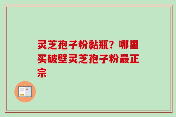 灵芝孢子粉黏瓶？哪里买破壁灵芝孢子粉最正宗