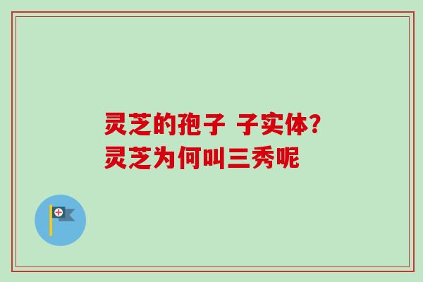 灵芝的孢子 子实体?灵芝为何叫三秀呢 灵芝的孢子 子实体?灵芝为何叫三秀呢