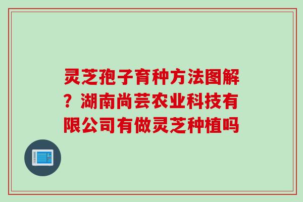 灵芝孢子育种方法图解？湖南尚芸农业科技有限公司有做灵芝种植吗