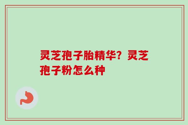 灵芝孢子胎精华？灵芝孢子粉怎么种