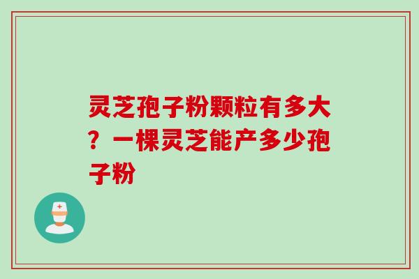 灵芝孢子粉颗粒有多大？一棵灵芝能产多少孢子粉