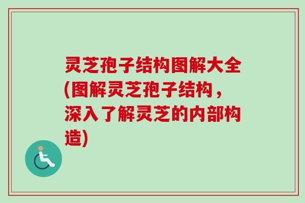 灵芝孢子结构图解大全(图解灵芝孢子结构，深入了解灵芝的内部构造)