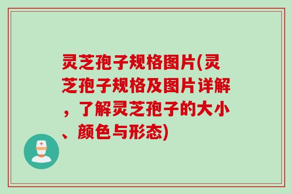 灵芝孢子规格图片(灵芝孢子规格及图片详解，了解灵芝孢子的大小、颜色与形态)