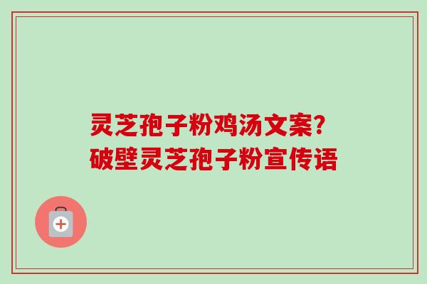 灵芝孢子粉鸡汤文案？破壁灵芝孢子粉宣传语