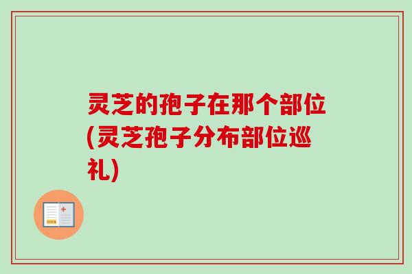 灵芝的孢子在那个部位(灵芝孢子分布部位巡礼)