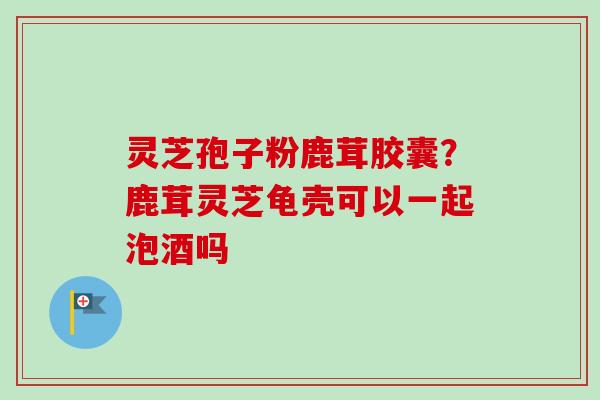 灵芝孢子粉鹿茸胶囊？鹿茸灵芝龟壳可以一起泡酒吗