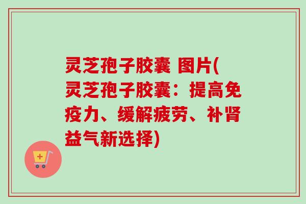 灵芝孢子胶囊 图片(灵芝孢子胶囊：提高免疫力、缓解疲劳、补肾益气新选择)